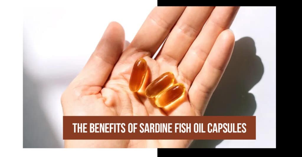 The Benefits of Sardine Fish Oil Capsules