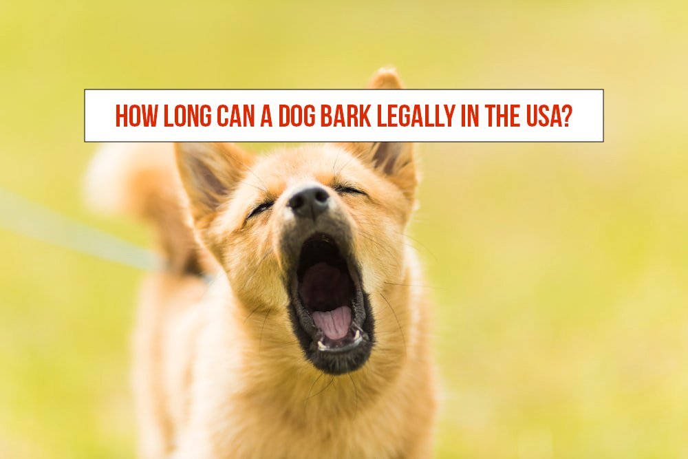 How long can a Dog Bark legally In The USA?