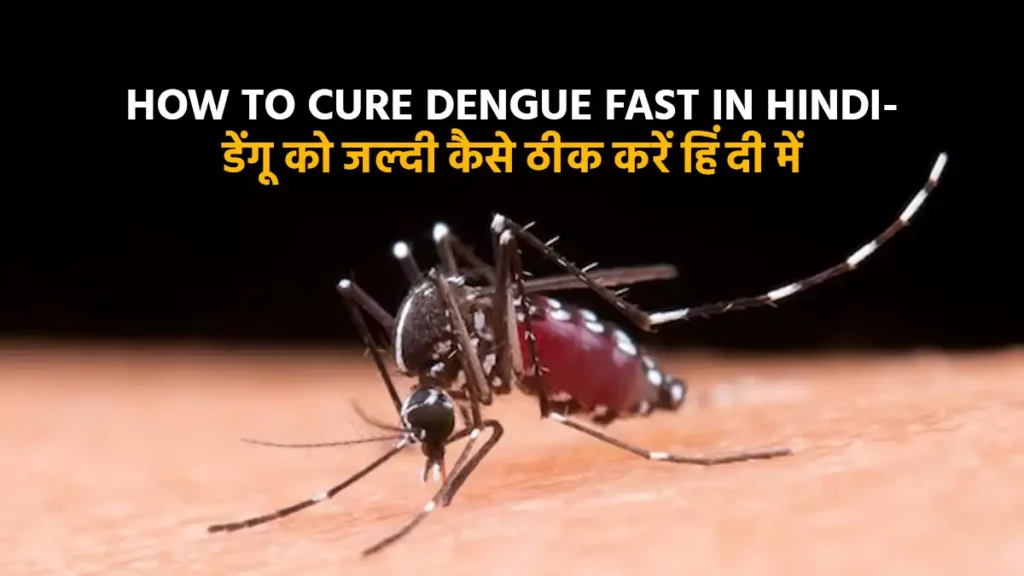 How to cure Dengue fast in Hindi- डेंगू को जल्दी कैसे ठीक करें हिंदी में